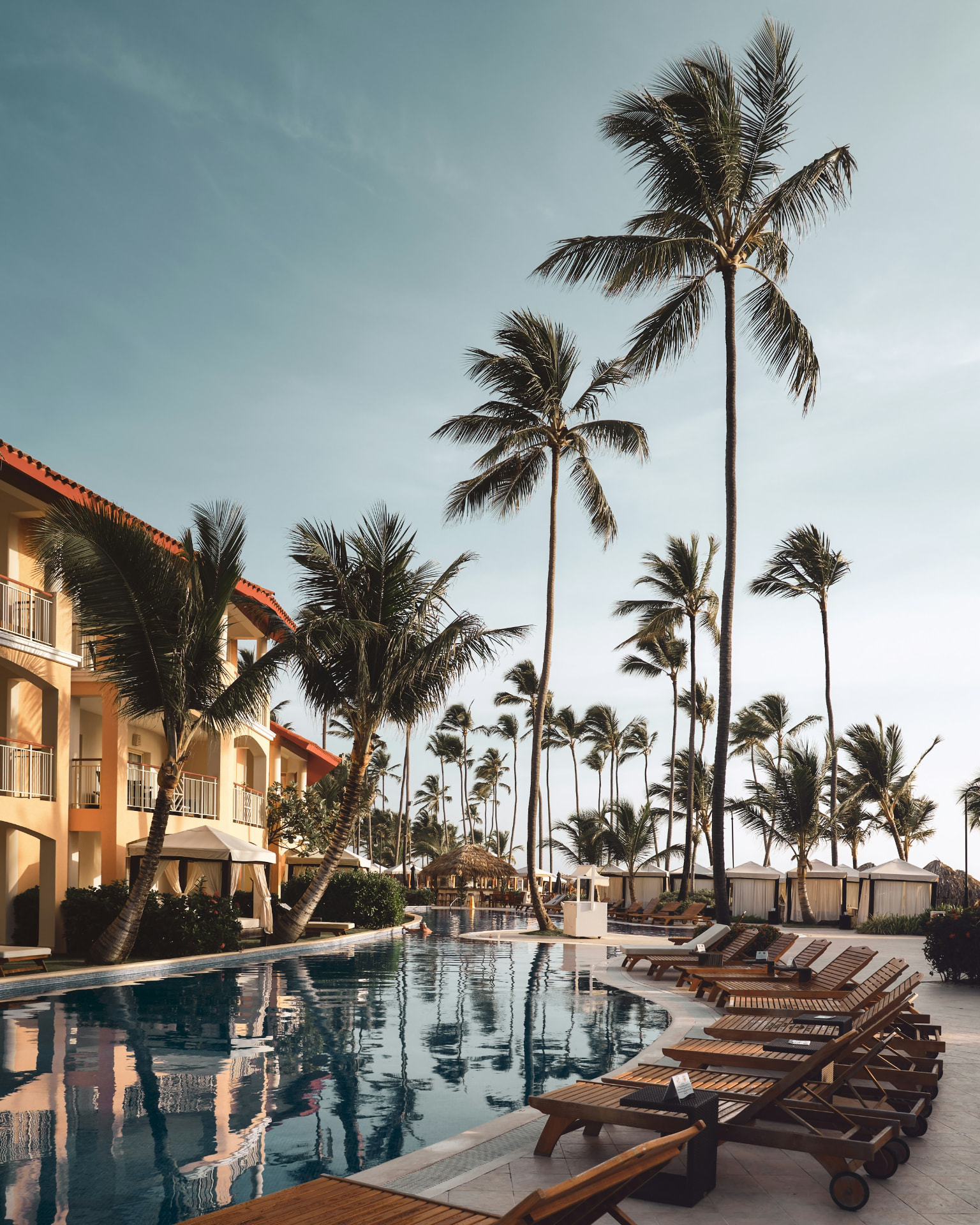 Resort pool lined with palm trees