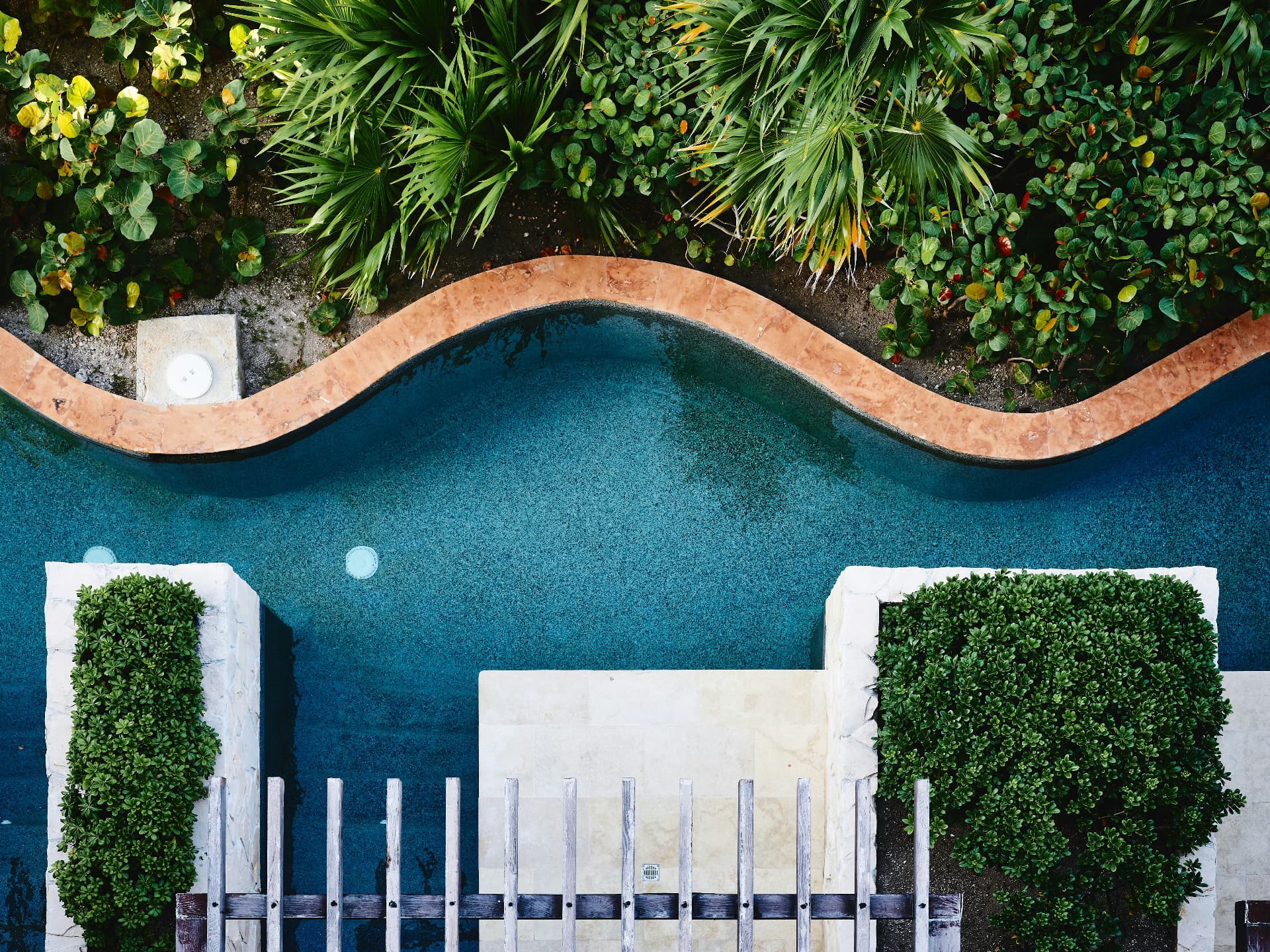 Aerial view of a curved resort pool with lush planting